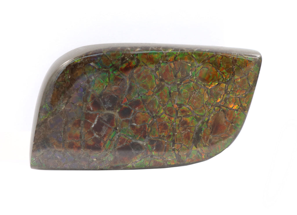 Free Form Dragon Skin Ammolite