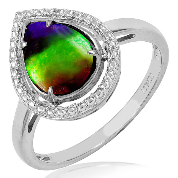 Ammolite Pear Shape Ring with Decorative Illusion Frame