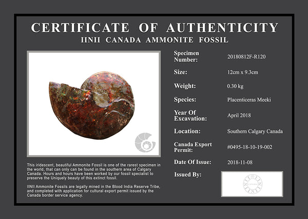 20180812F-R120 Fossil